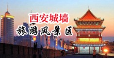 天天好逼欧美性爱中国陕西-西安城墙旅游风景区